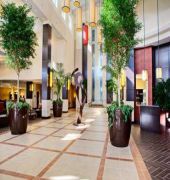 Embassy By Hilton Jackson North 4* Ridgeland